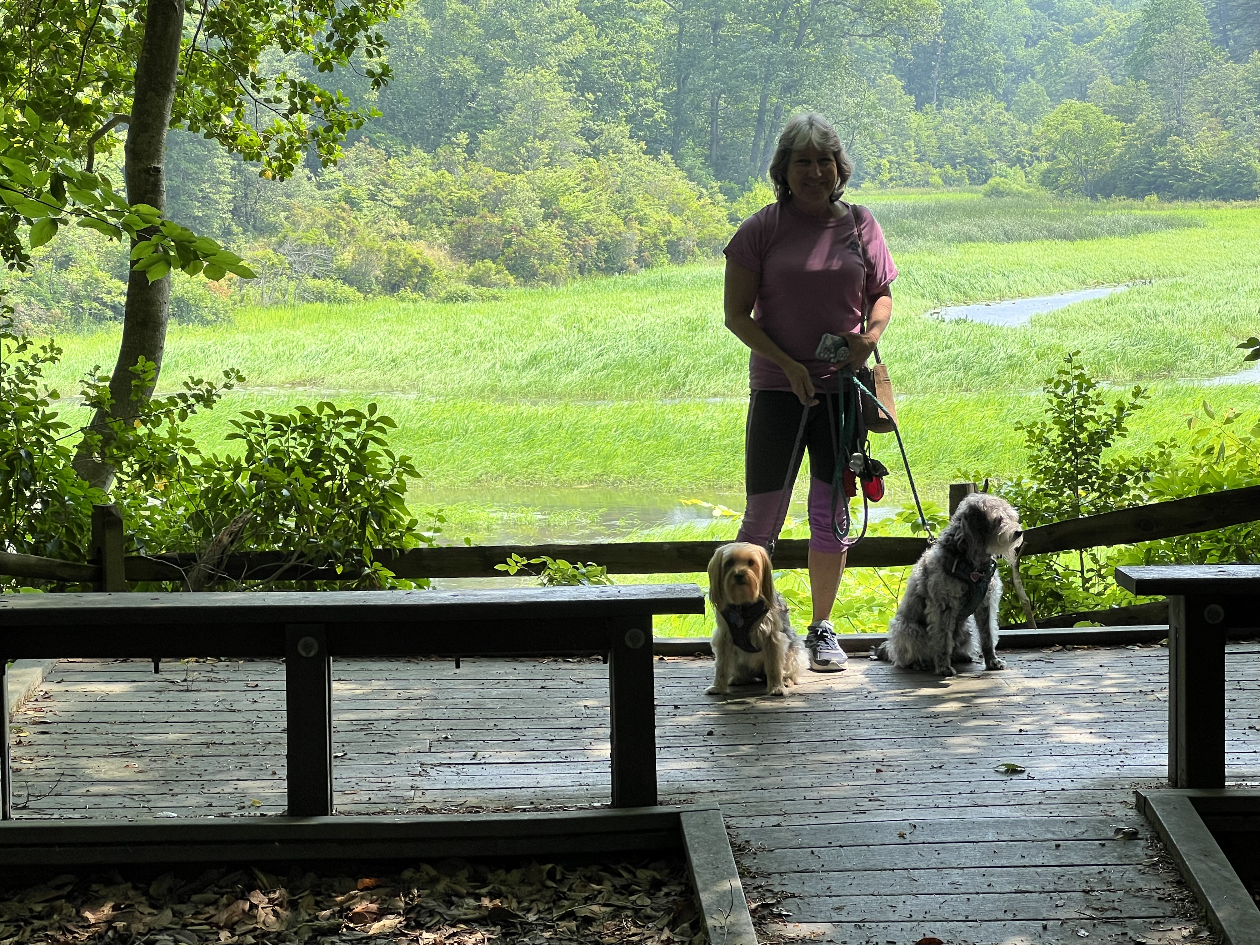 ./2023/10 - DC Trip/IMG_9692.png